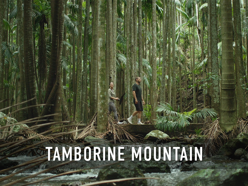 Tamborine Mountain